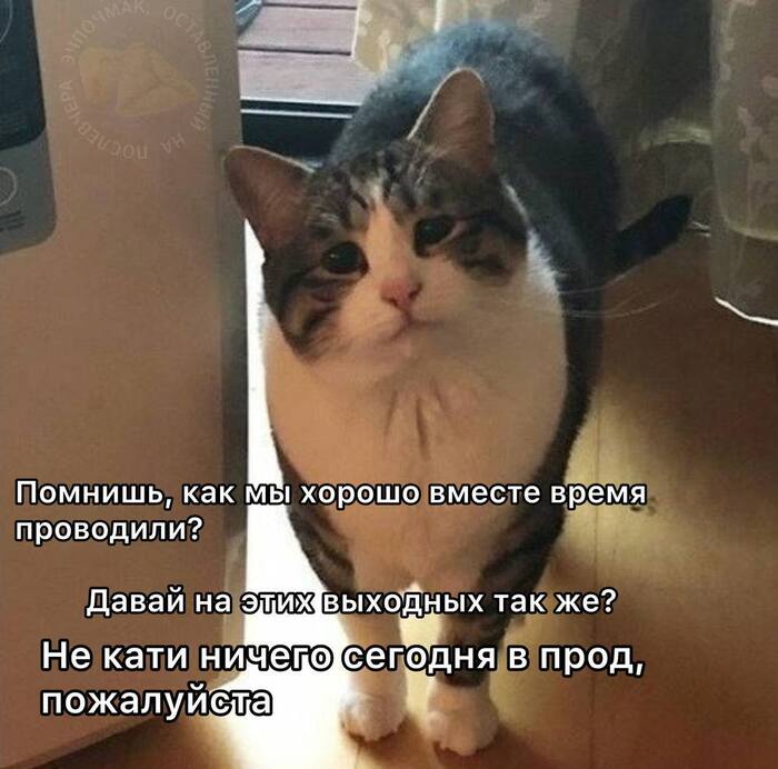 � � ���� ����� ����