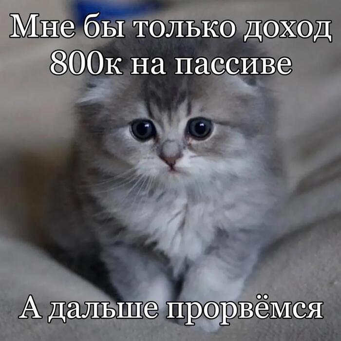 ���� 500 ����� ���������� ������ � 55 �����. ������ ��� ��������� ����� ���������?