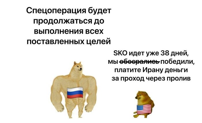 ��� ����