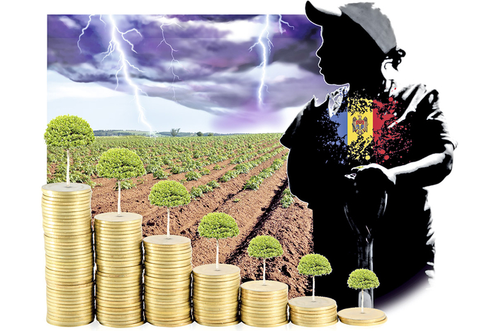 ������ �� ������� �������� ���� ����������������� ������������?