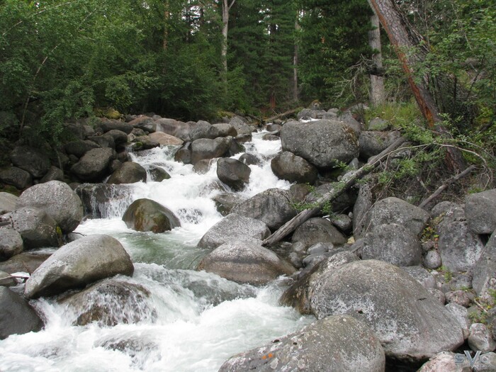 ���� ���-��������, ���������� ������, ��������� �����