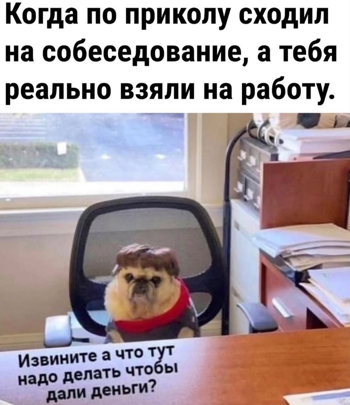 ������ � ������