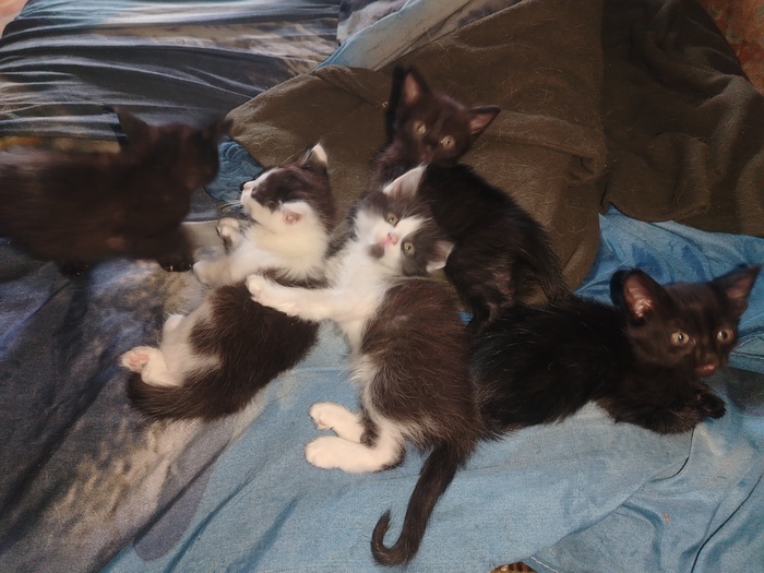 ������ � ������ ����