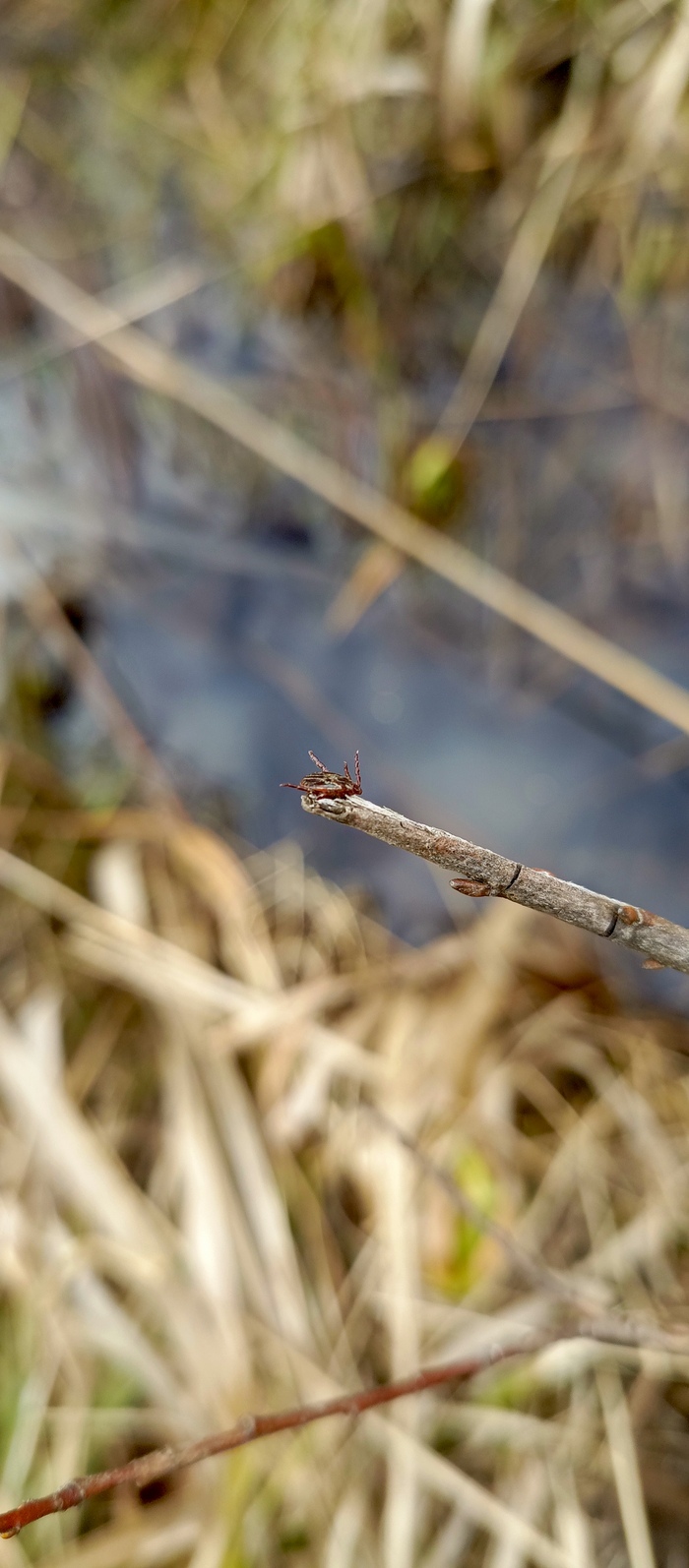 � ��� � ��������� �������, ��� ������ ���� ����������� ��������!