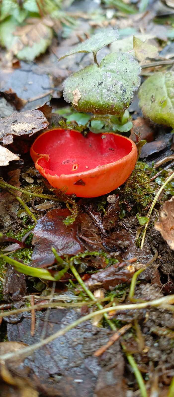 ��� ���� - ����������, ������ ���������!