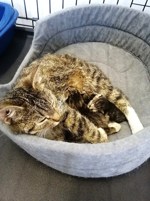 ��� +4 ������ (� � ����� +5) � ����-������