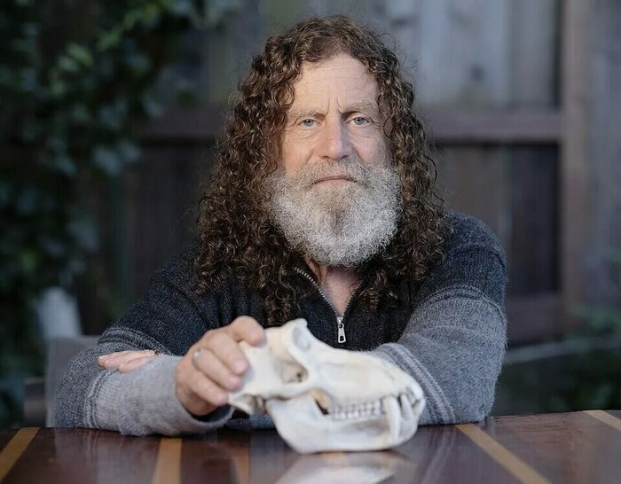 ������ ���������