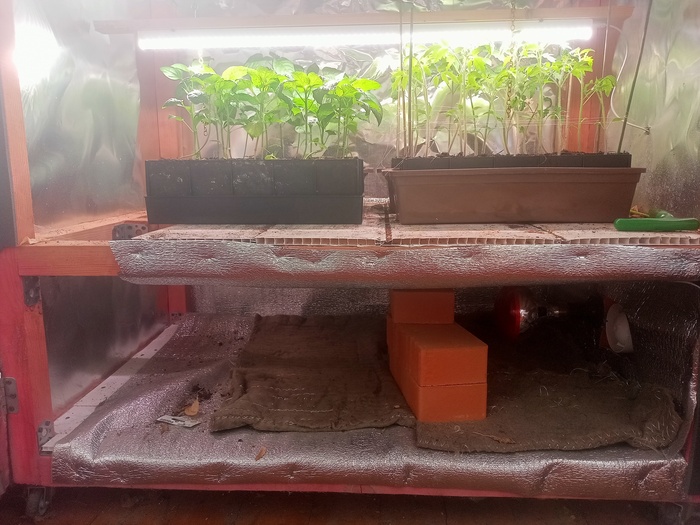 ����������, ����� �� ����� ������ ��������, � ����� ������ ������������ ����� ��� ������ ������.