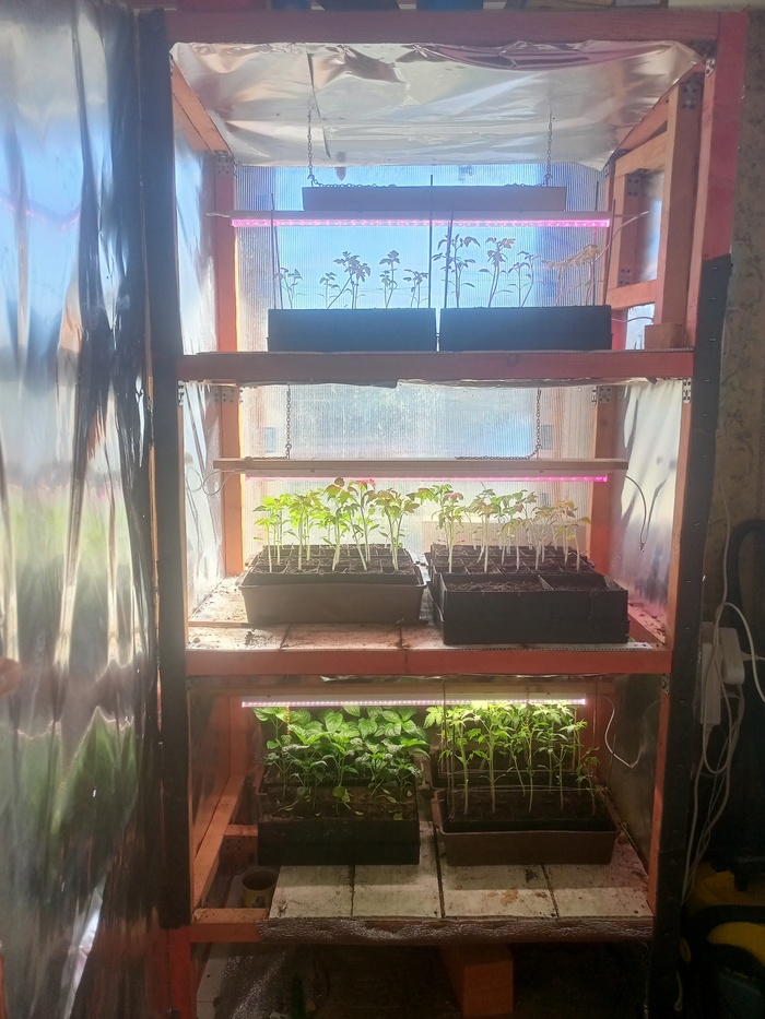 ����� �� ����� 50�50 � �������� ��������������� ���������� � ��������� ��������. ���� ����������� ����������� � ���������.