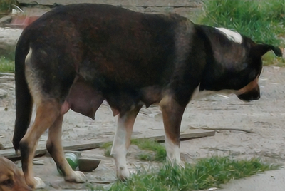 ����� �����, ��� ����� ������������� � �� ���� ���������