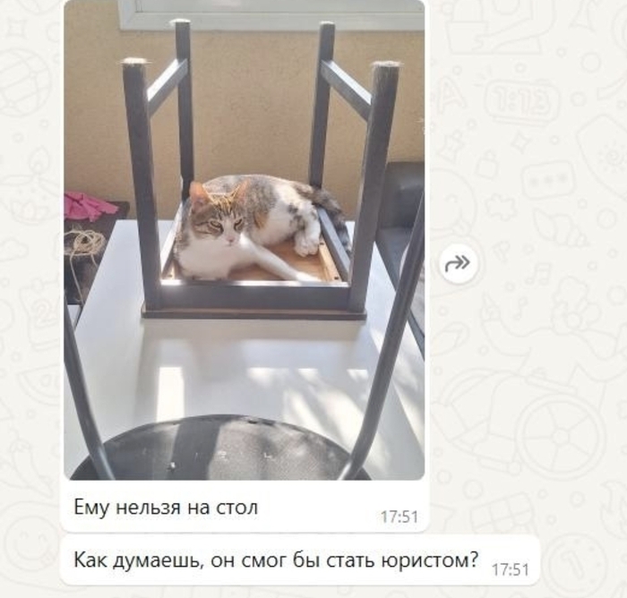 ��� �����