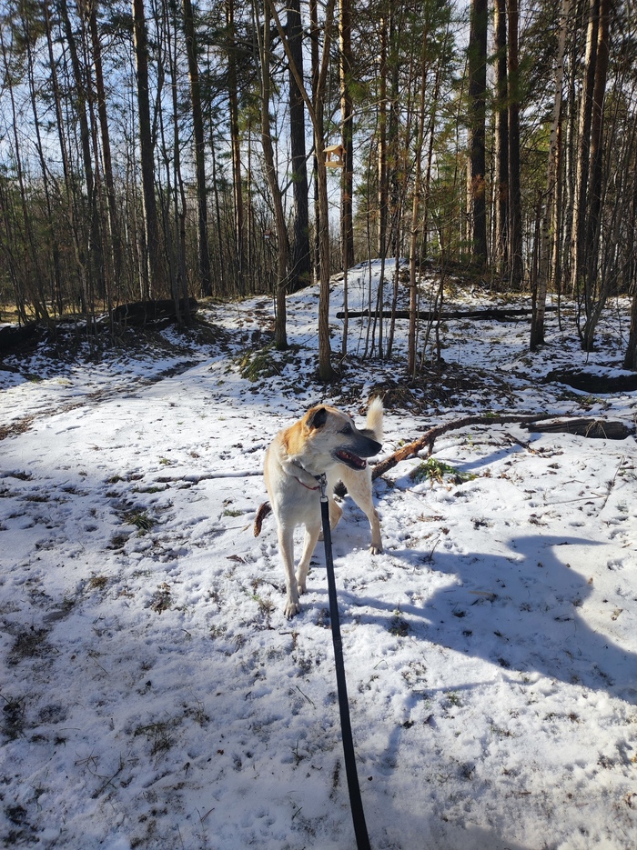 ������� ������, � ���� ����� ������ �������� ����������