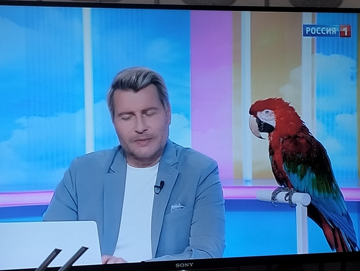 ����� � �������