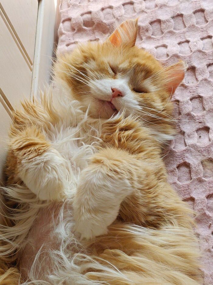 ��� �� ����� �������� �� ����������, ��� ����������� ����