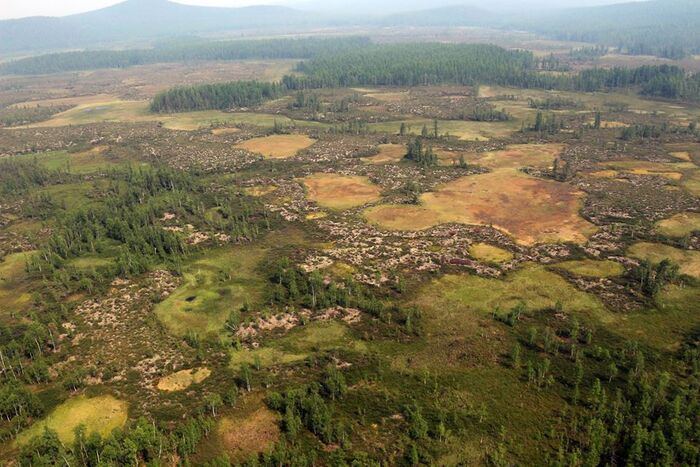 ����� ������� ����������� ���������. ����: ������� �������������� ��������