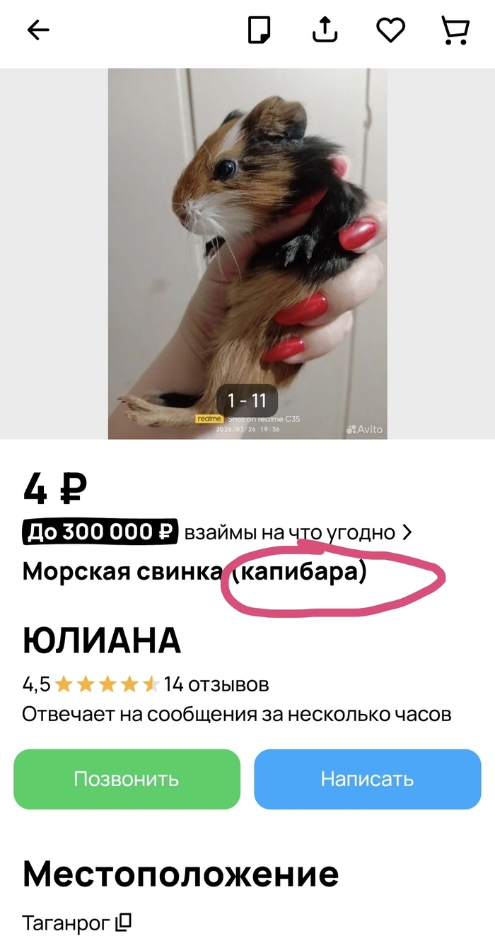������-�����