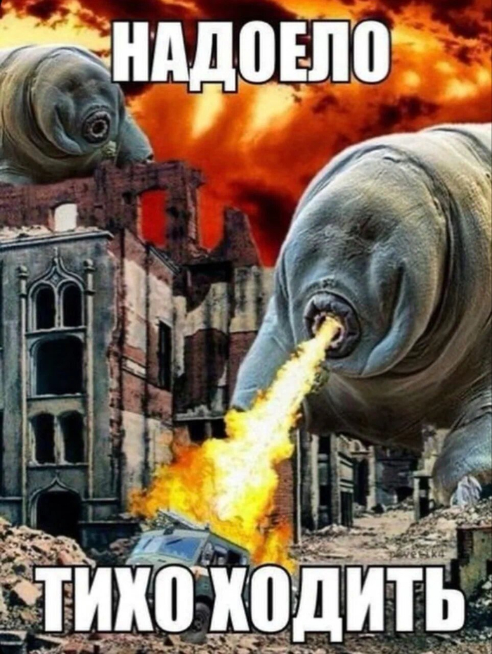����� �����