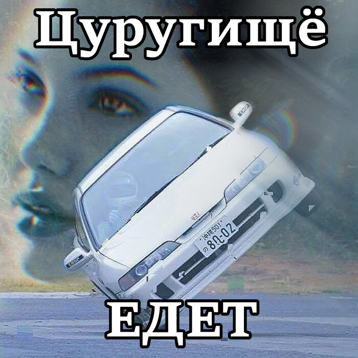 ������ � ���� �� ������ ��������-�������� ������