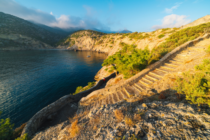 ����� ����