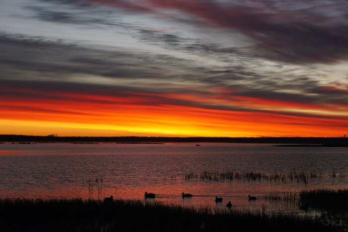 ������� �� �������