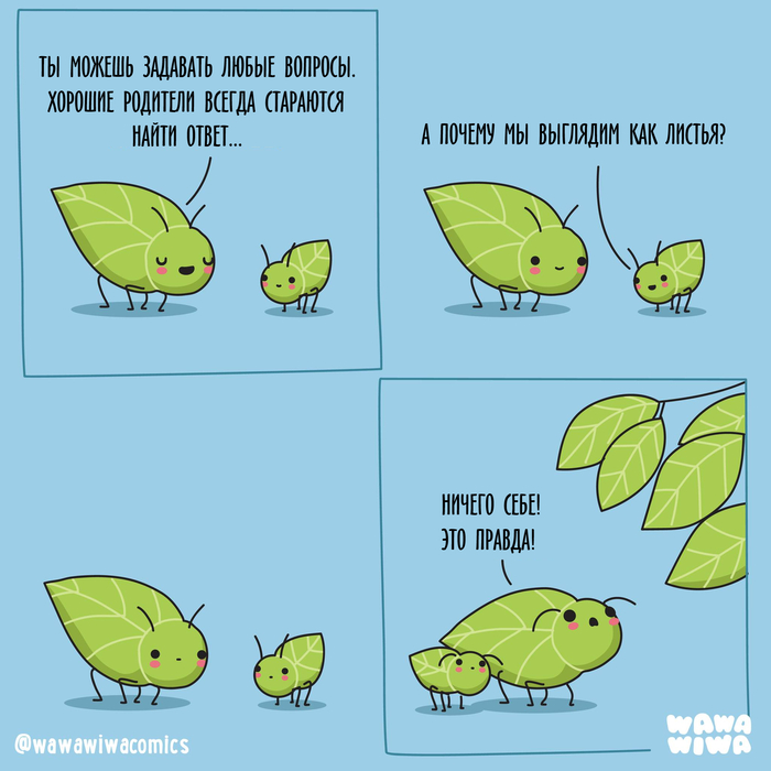 ������� ������