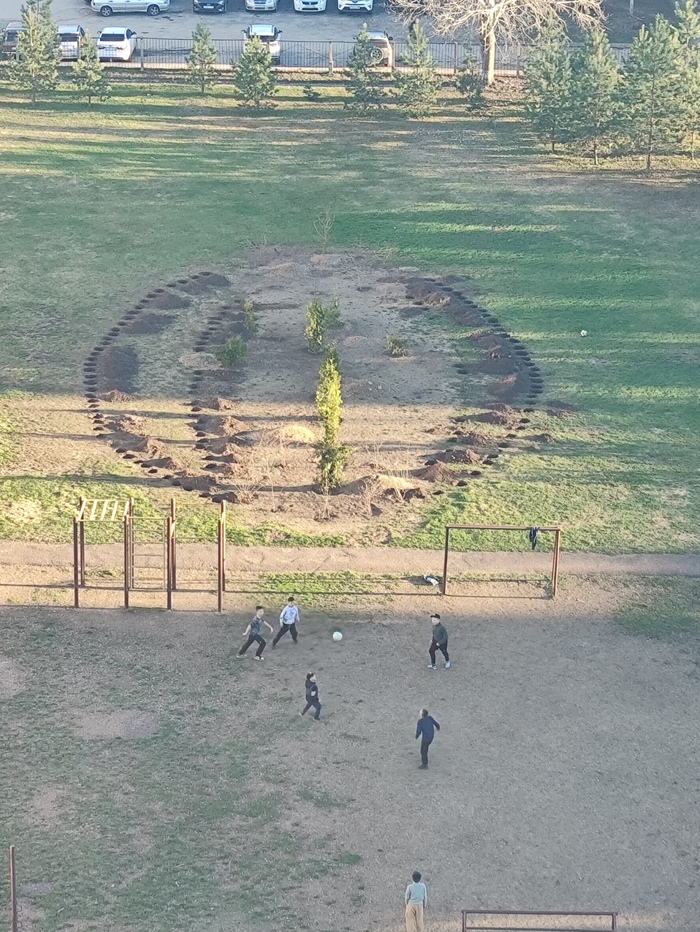 Походу у нас во дворе посадят что-то из деревьев