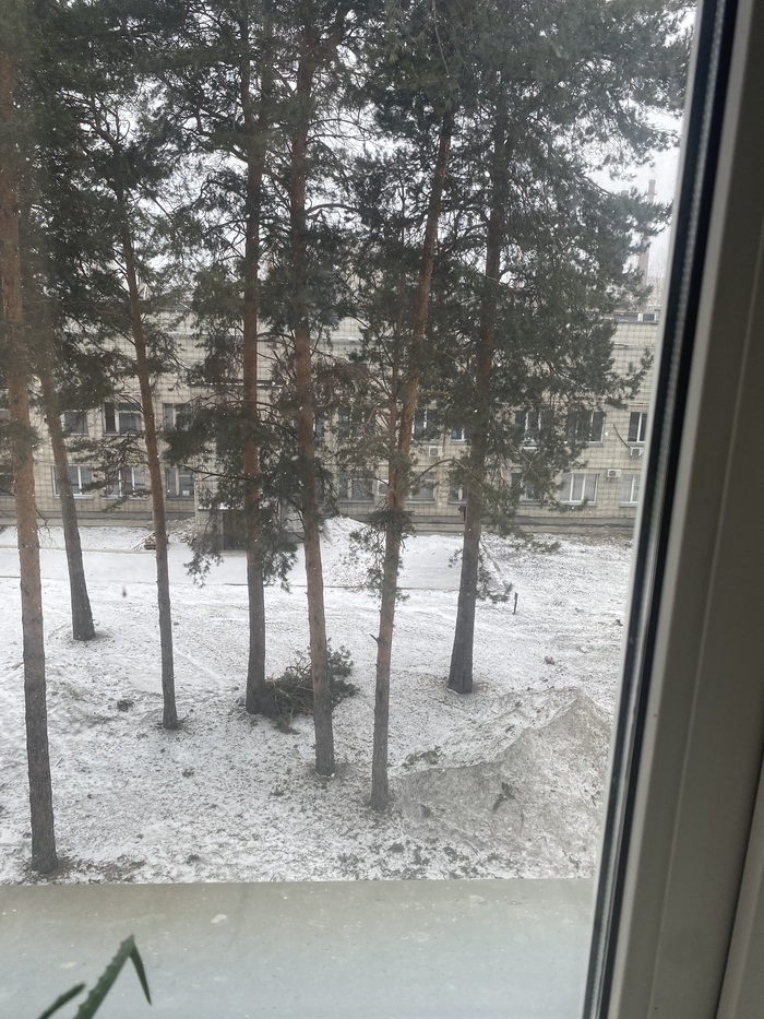 Весна в Сибири