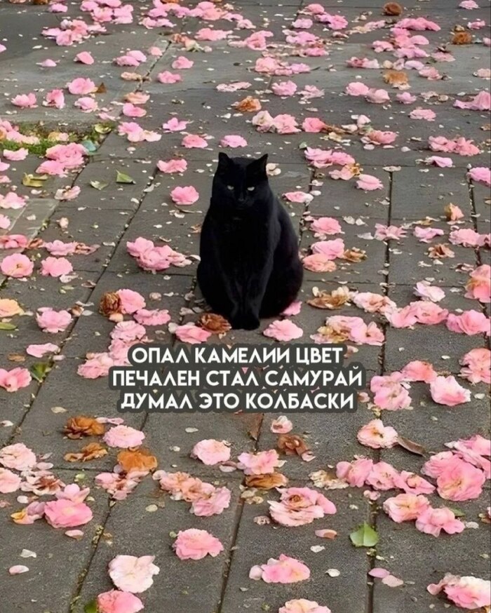 � ���� ������� ���