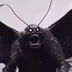 BlackBlackHag