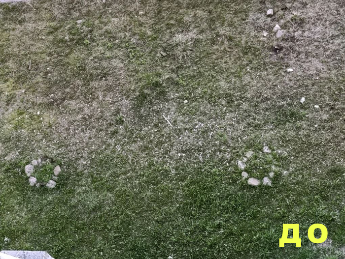 Убрал 400+ окурков под окнами дома