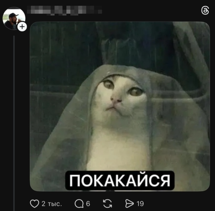 Reply to the post Going to the toilet - Screenshot, cat, Dog, Humor, Toilet humor, Nun, Reply to post, Longpost