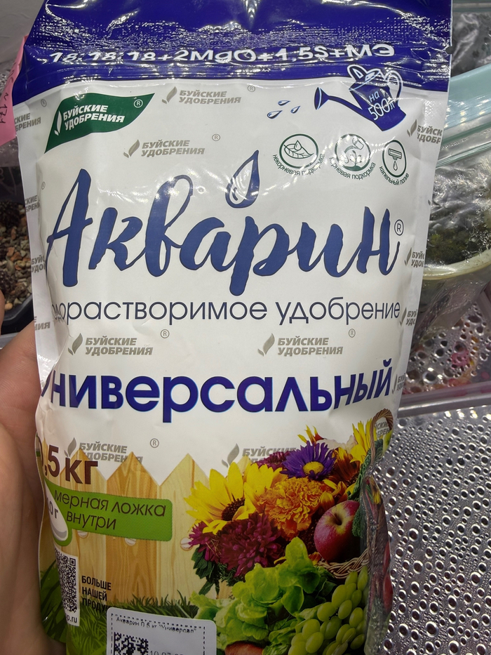 ��� ������ 
