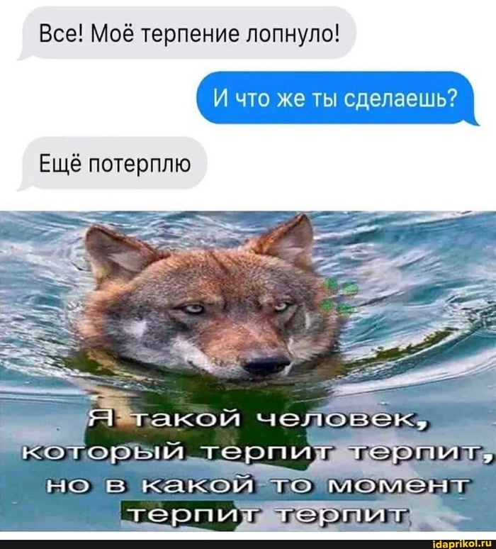 ����� �� ���� ��ZON � ��ͻ