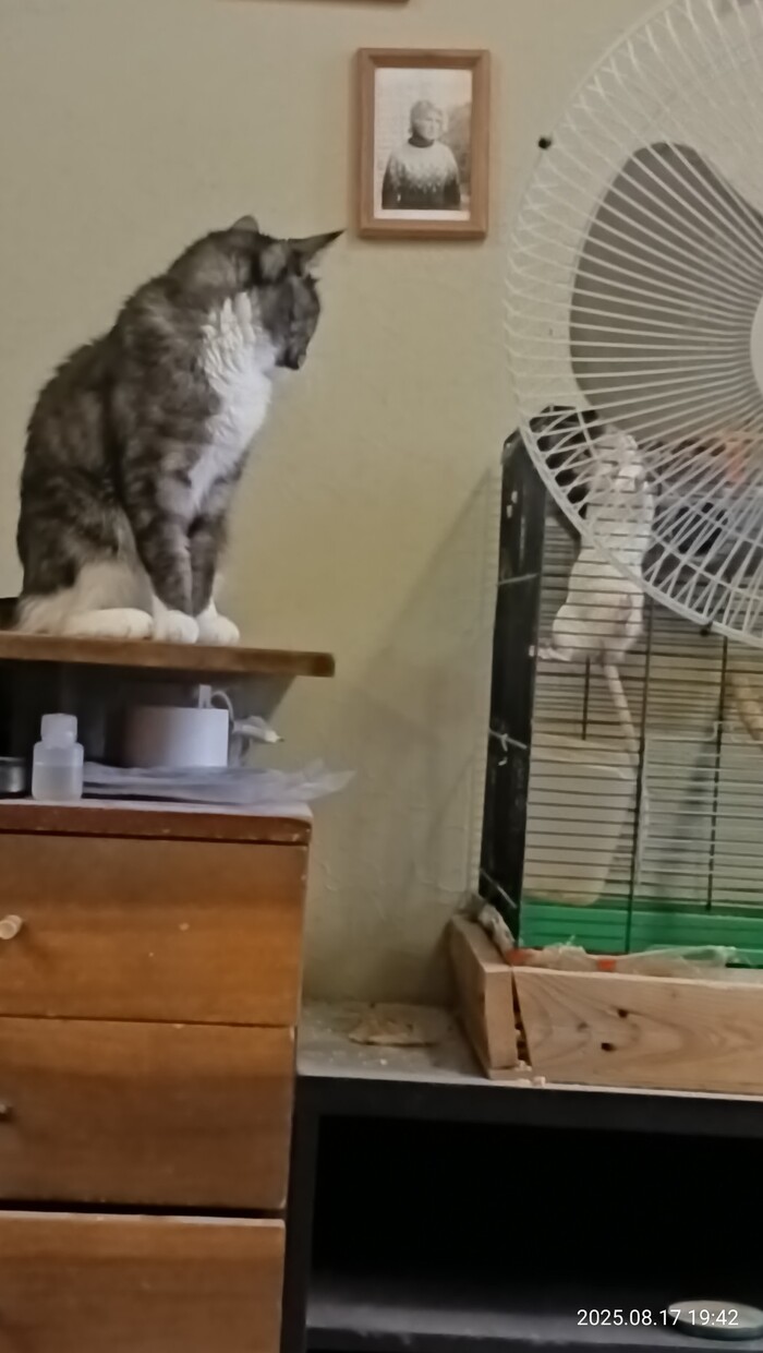 ����� ����� �� ������� �� ����...
