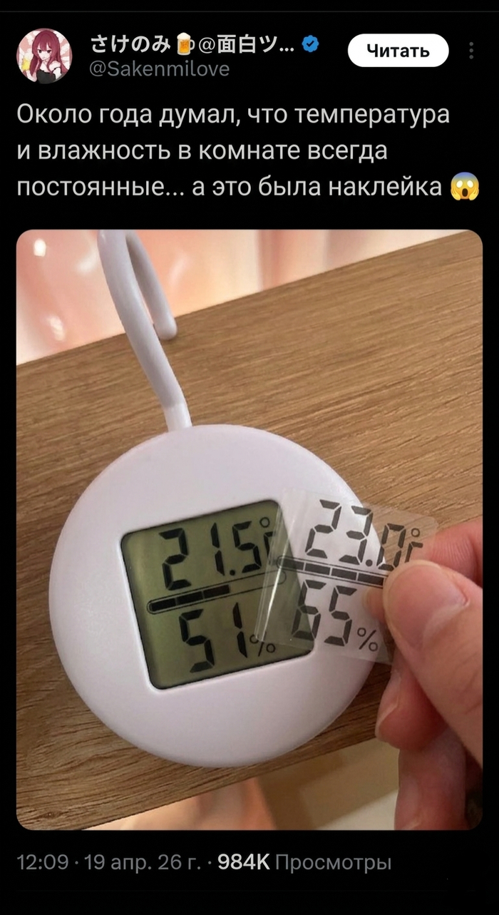 ������ ����