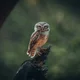 ����� ����� ������ ���� �����������