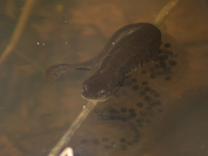 �������)