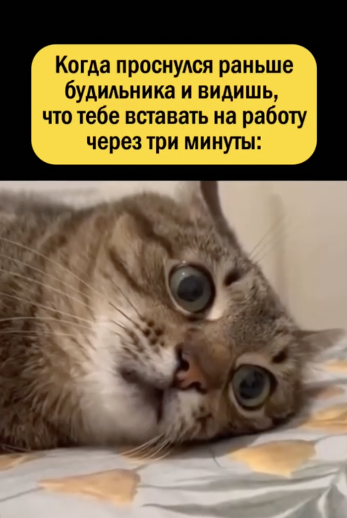 ����� �� � �����