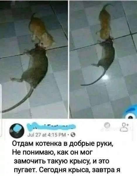 ����� ������� � ������ ����