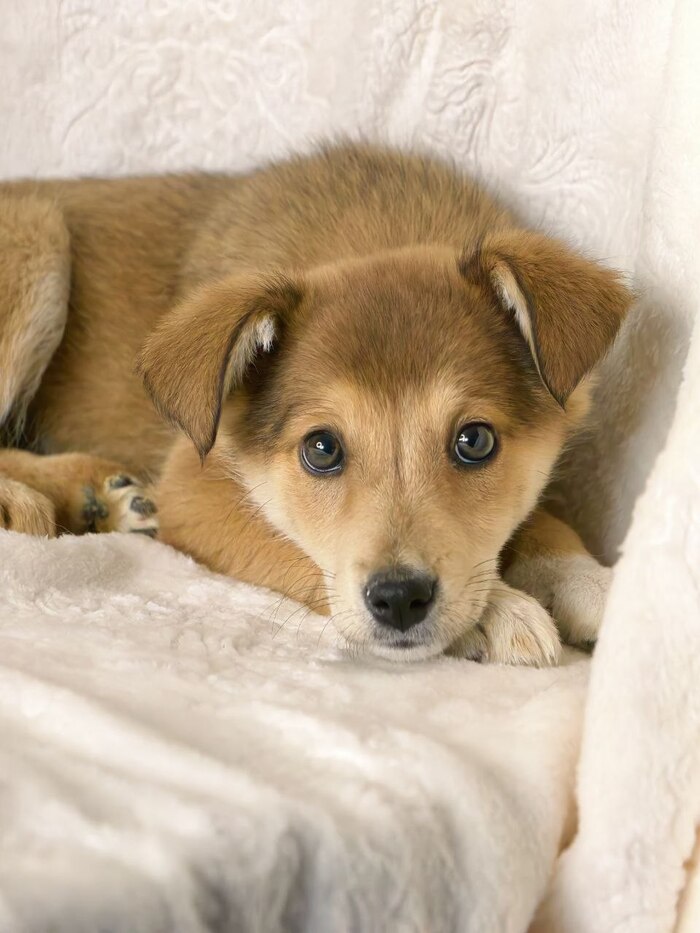 ��� ��� ����� ������ � ������������� ����