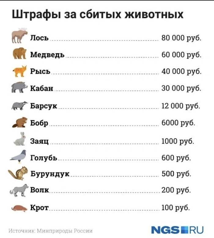 Водителям на заметку