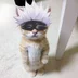 GBuba