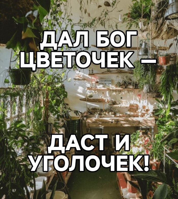 ������� ����� ���� ������������