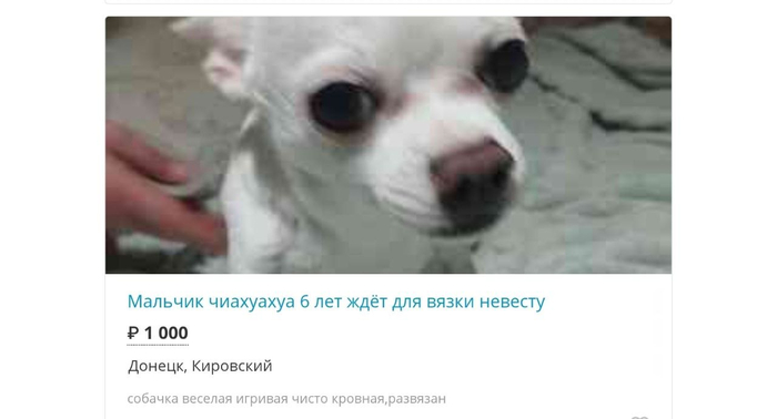 Самая грустная история за сегодня...
