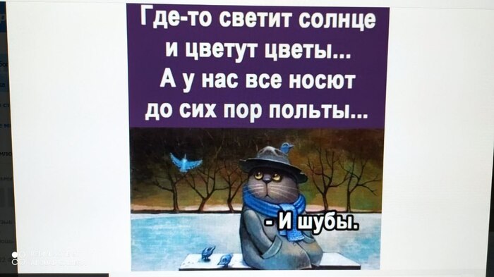 А у нас пальты