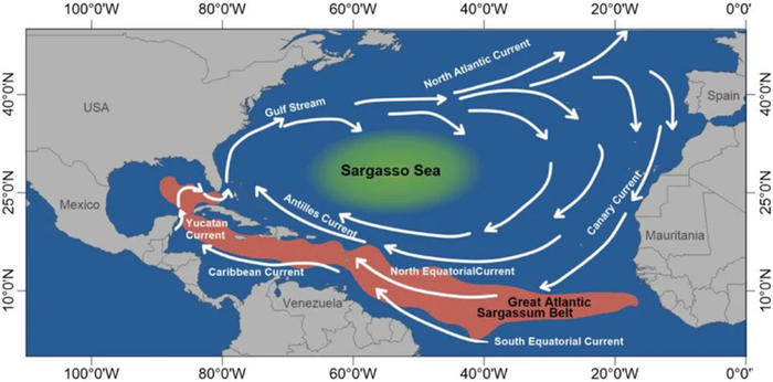<a href="https://pikabu.ru/story/nevidimyie_linii_1_13915157?u=https%3A%2F%2Fwww.researchgate.net%2Ffigure%2FMajor-currents-in-the-North-Atlantic-the-Sargasso-Sea-and-the-Great-Atlantic-Sargassum_fig1_356170624&t=%D0%A1%D0%B0%D1%80%D0%B3%D0%B0%D1%81%D1%81%D0%BE%D0%B2%D0%BE%20%D0%BC%D0%BE%D1%80%D0%B5&h=8232589f5150340f4ccc841e747c93585ec82e88" title="https://www.researchgate.net/figure/Major-currents-in-the-North-Atlantic-the-Sargasso-Sea-and-the-Gr..." target="_blank" rel="nofollow noopener">���������� ����</a>