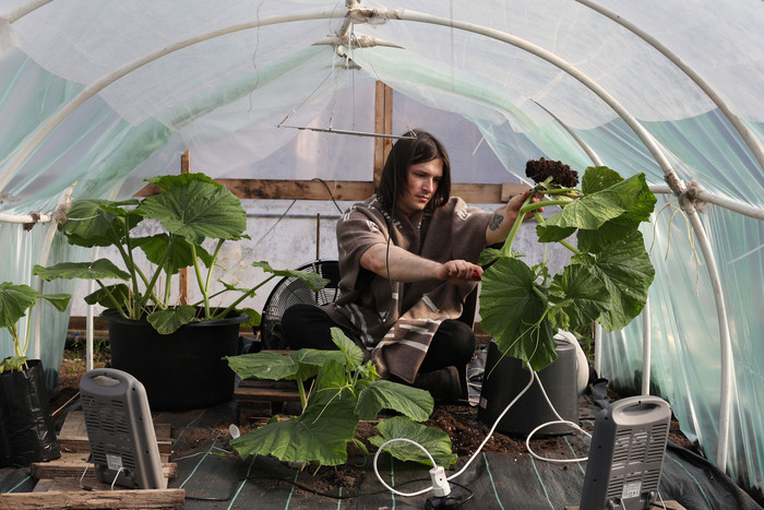 ������ �������� �����