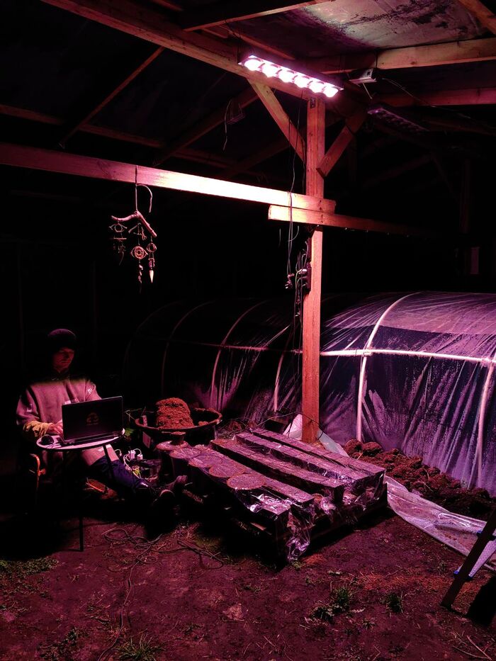 ��� � ���� ���������� �� ������