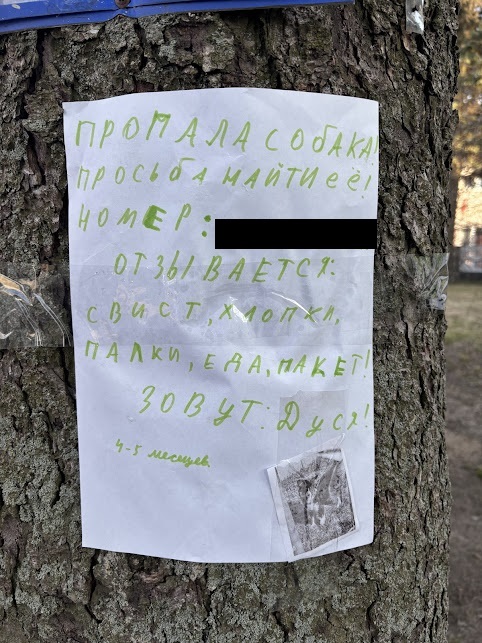 Надеюсь Дусю нашли