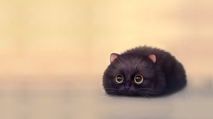 Ищу котейку в дом!